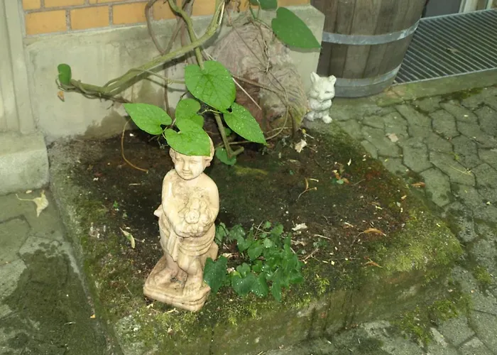 Arnold באד קיסינגן